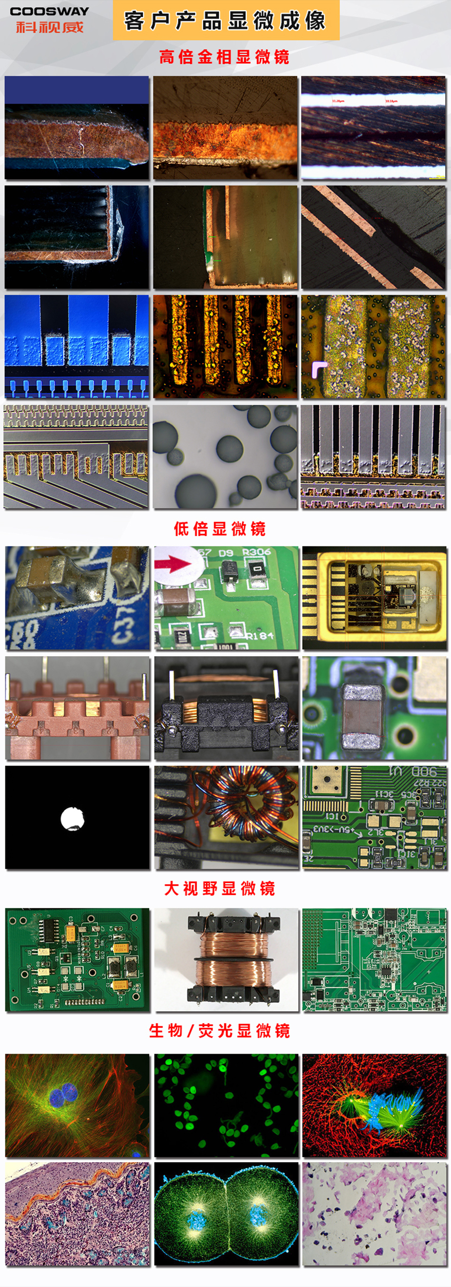 顯微鏡成像-925.jpg